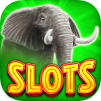 Safari Slots