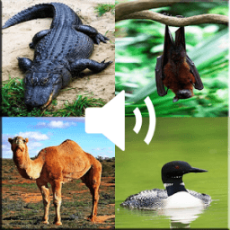 Animal Sounds - Nature иконка