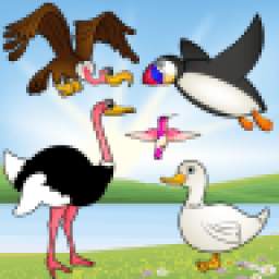 Birds Game for Toddlers : Bird Species Puzzle ! Educational Puzzles Games - FREE app for kids