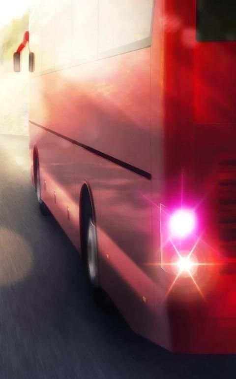 Bus Simulator Game screenshot 3