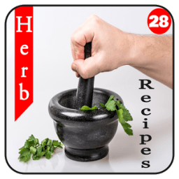 200+ Herb Recipes иконка