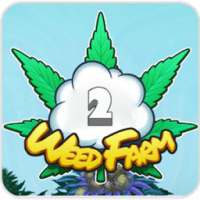 Guide Weed Firm 2 Back College