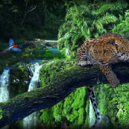 Amazon wallpapers आइकन