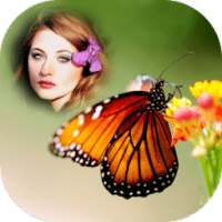 Butterfly Photo Frame on 9Apps