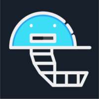 Flash Live Cricket Score