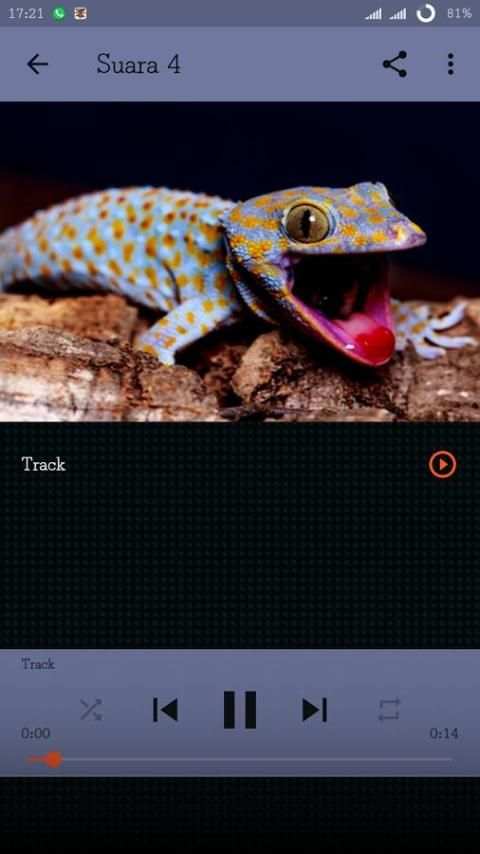 mp3 Suara Tokek 3 تصوير الشاشة