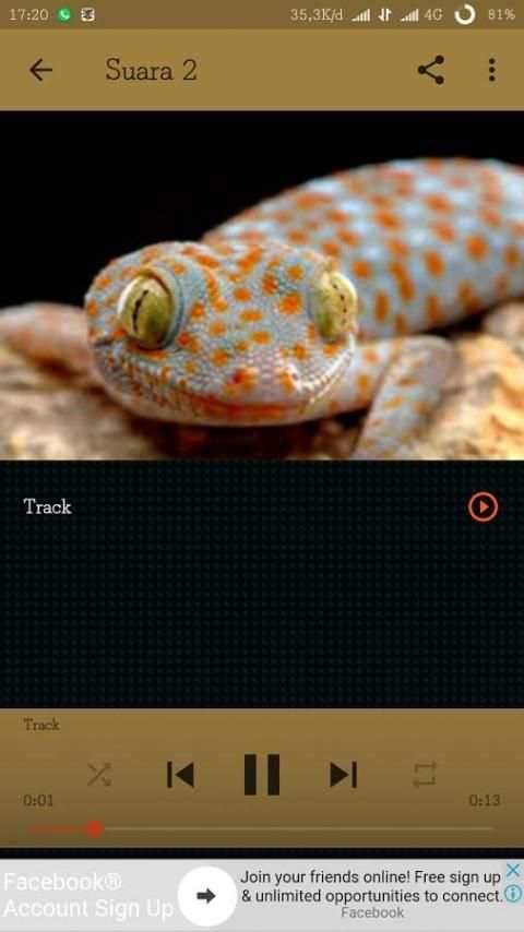 mp3 Suara Tokek 5 تصوير الشاشة