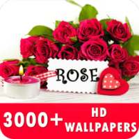 Rose Live Wallpapers HD on 9Apps