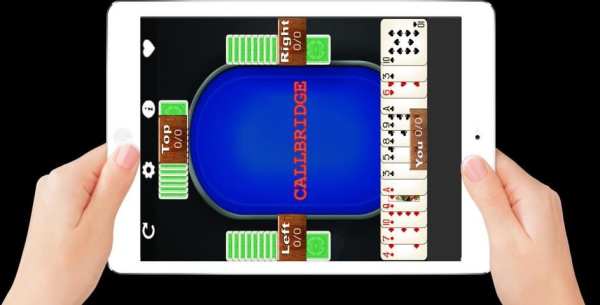 Call Bridge Lite скриншот 8