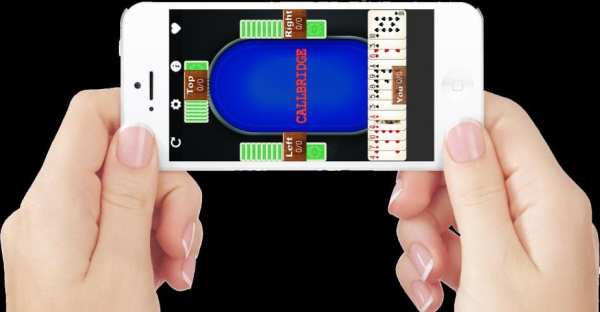 Call Bridge Lite screenshot 7