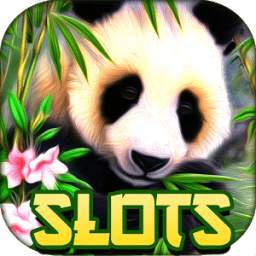 Panda Slot – Wild Win Bonanza