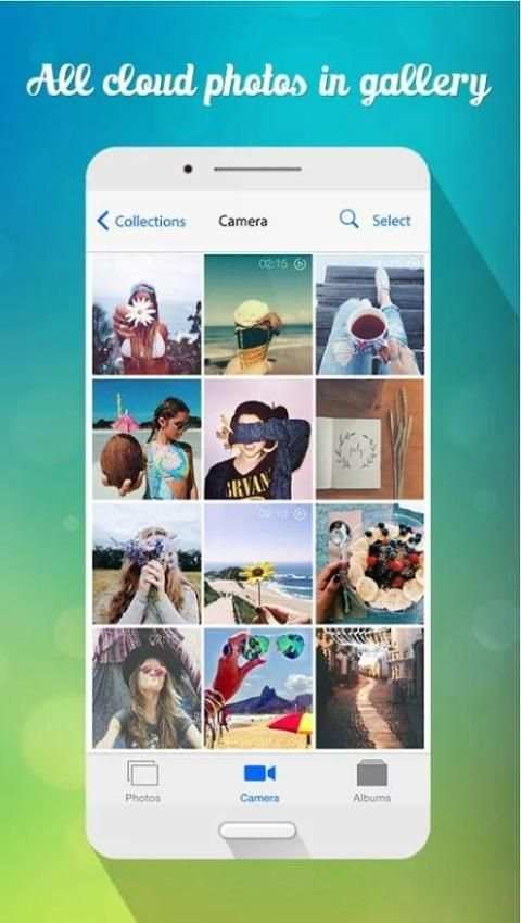 Apple Gallery скриншот 2