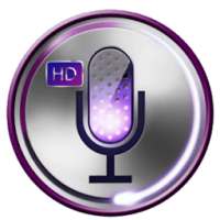 Устройство изменения голоса hd