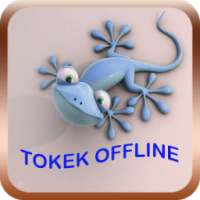 Suara Tokek Mp3 on 9Apps