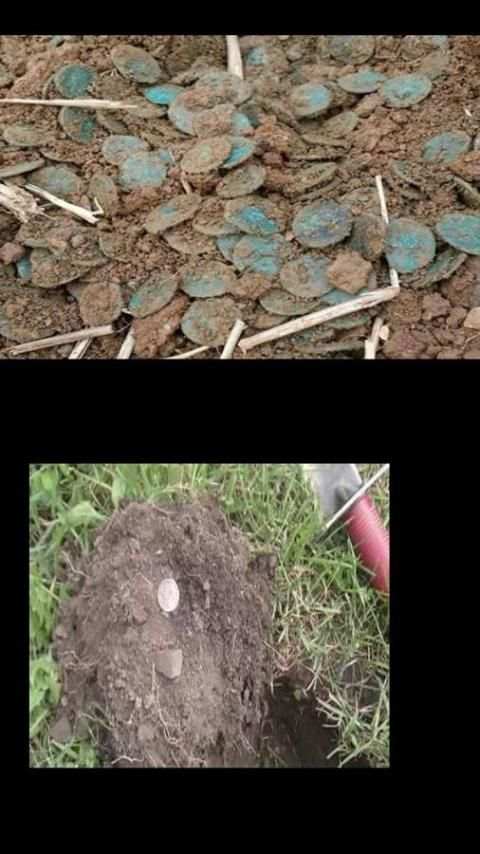 Gold Detector and Metal screenshot 3