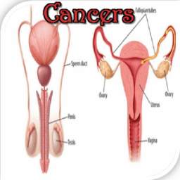 Reproductive Cancers