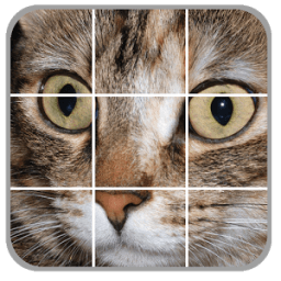 ikon Cats Puzzles