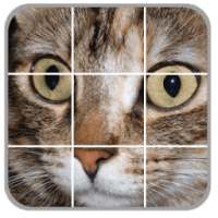 Cats Puzzles