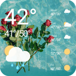Weather Widget Clock Roses أيقونة