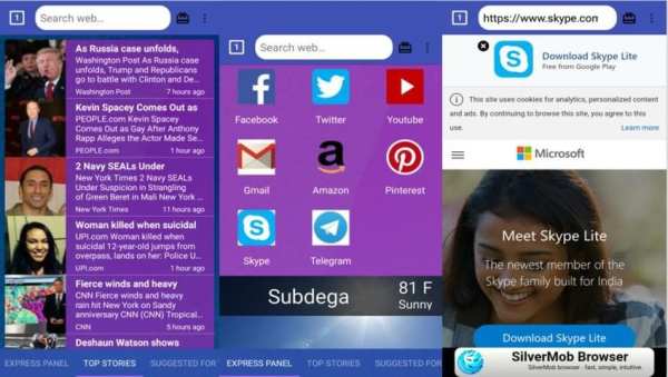 Fast Web Browser स्क्रीनशॉट 7