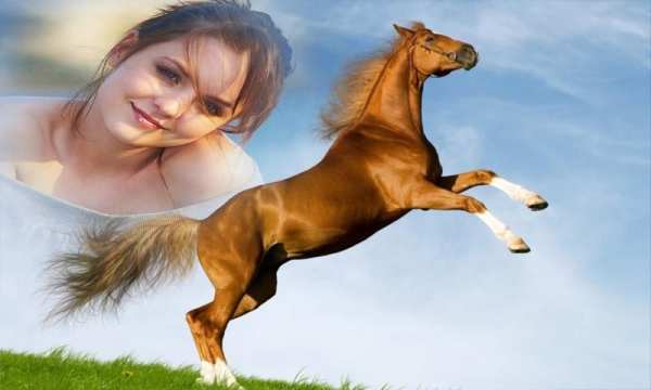 Horse Photo Frame स्क्रीनशॉट 3