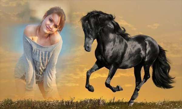 Horse Photo Frame скриншот 2