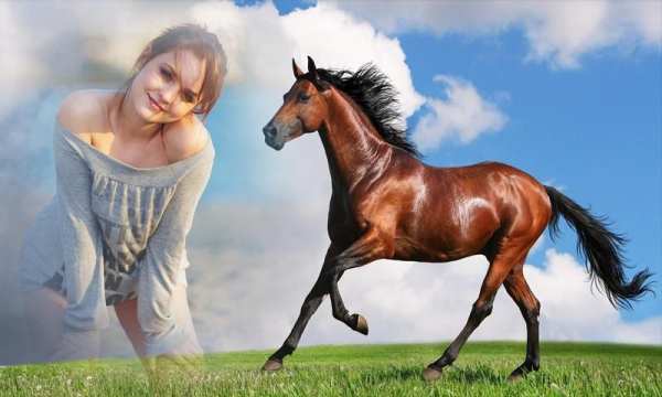 Horse Photo Frame स्क्रीनशॉट 1