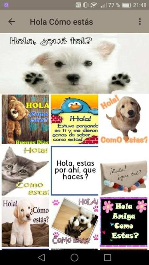 Hola Cómo estás screenshot 18