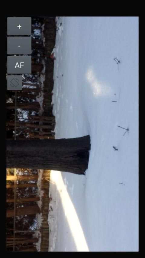 Mobile Camera Monitor screenshot 1