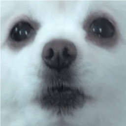 ikon Gabe the dog SoundBoard