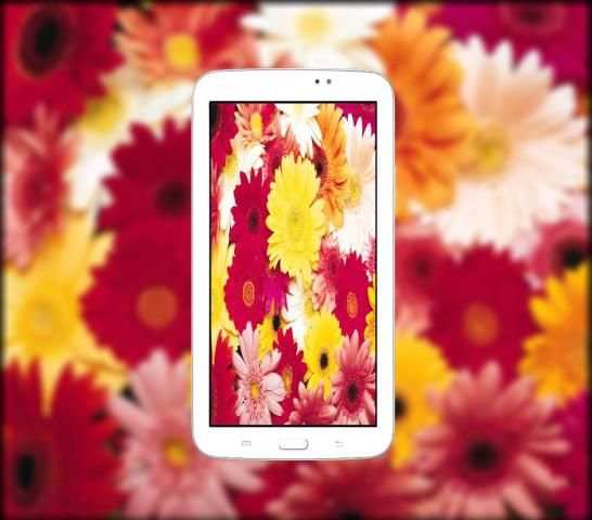 DSLR HD Camera (360) screenshot 1