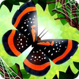 Flutter: Butterfly Sanctuary