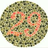 COLOR BLIND TESTER on 9Apps