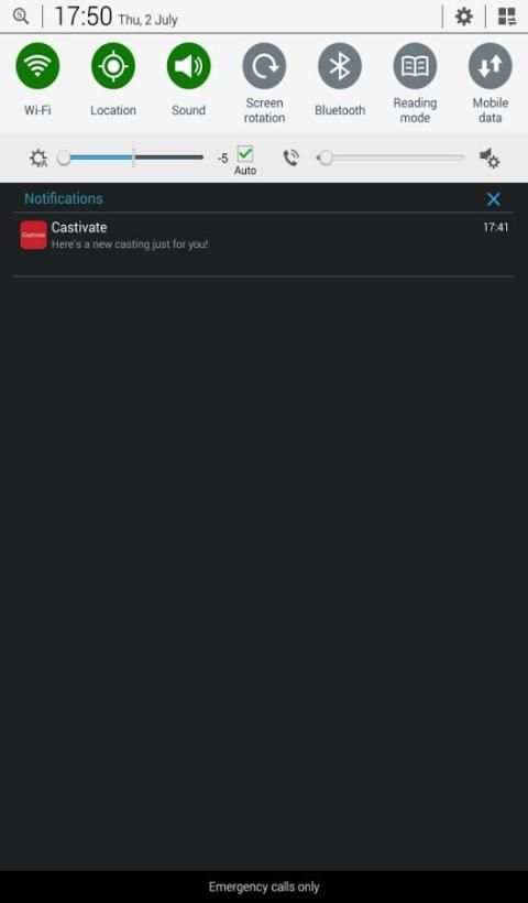 Castivate screenshot 1