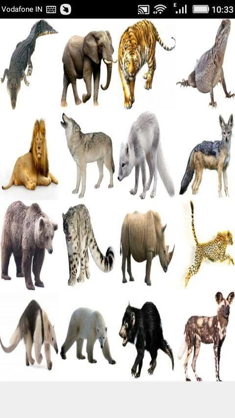 Animals Sound स्क्रीनशॉट 2