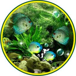 Aquarium Fishes LWP