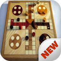 Puz Ludo Game