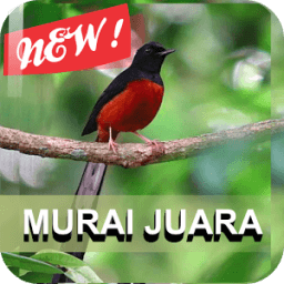 Master Murai Batu icon