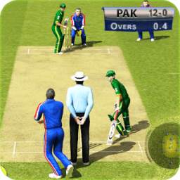 Cricket WorldCup Game Pak vs NZ Series