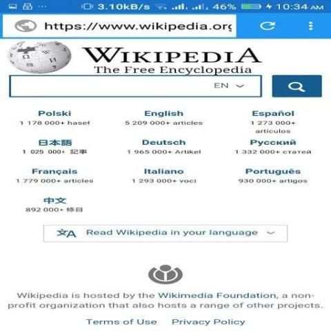 Lightning Browser 4G скриншот 1