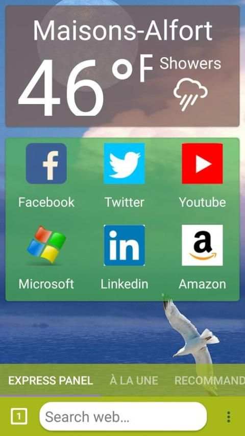 Bird Browser screenshot 8