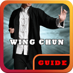 ikon Wing Chun Training Master