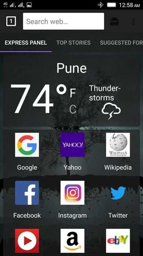 Connect Web Browser स्क्रीनशॉट 1