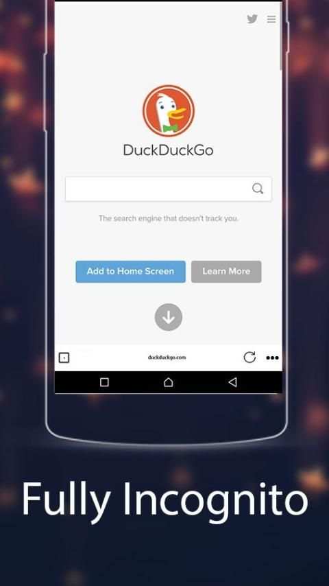 Autumn Incognito Browser - fast download manager screenshot 5