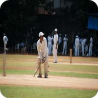 Cricket Wallpapers HD
