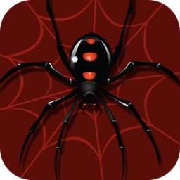 Spider Solitaire