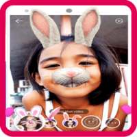 Cute Rabbit Face photo Stickers