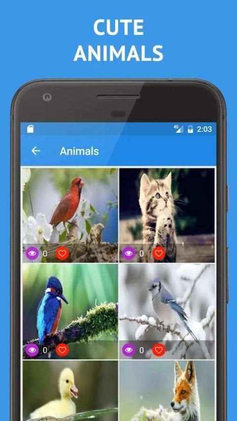 Phone HD Wallpapers screenshot 2