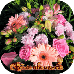 Día de las madres. Postales иконка