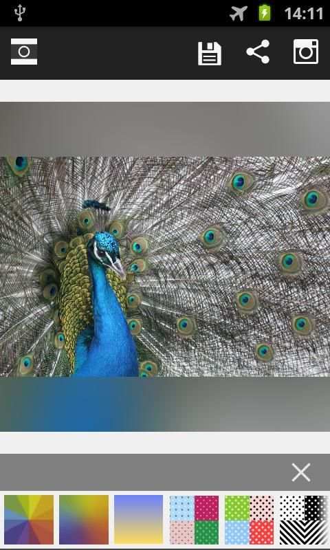 Insta Square Maker -No Crop HD 3 تصوير الشاشة
